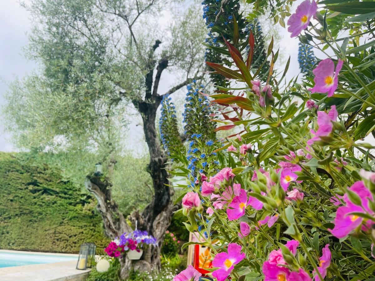 Abeille Bed & Breakfast Vence Ngoại thất bức ảnh