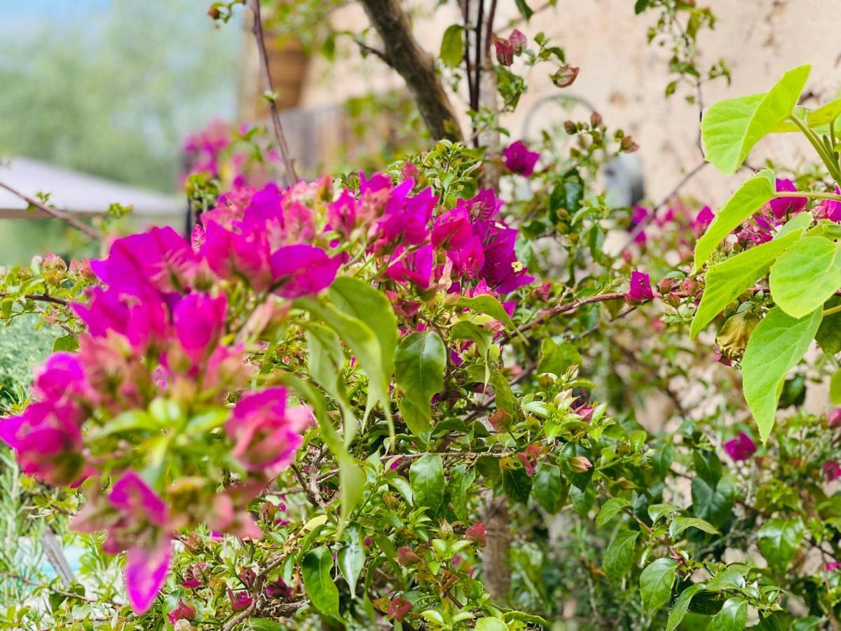 Abeille Bed & Breakfast Vence Ngoại thất bức ảnh